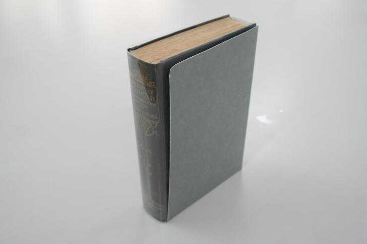 Conservation_Housing14