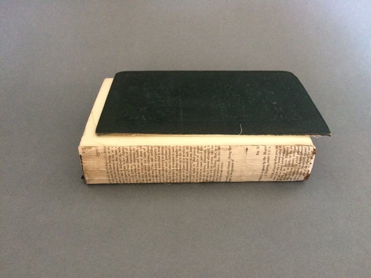 Image of Machiavelli Before Treatment Spine and Front Board