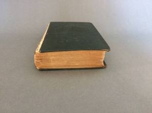 Image of Machiavelli Before Treatment Head Edge