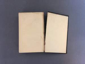 Image of Machiavelli Before Treatment Back Endpaper