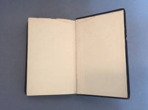 Image of Machiavelli After Treatment Back Endpaper