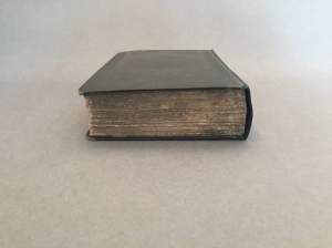 Image of Machiavelli After Treatment Head Edge