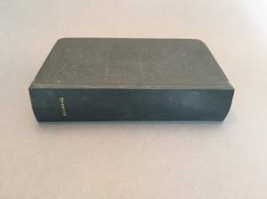 Image of spine and front board after treatment