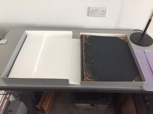 holly smith book conservation sussex brighton