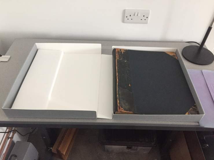 holly smith book conservation sussex brighton