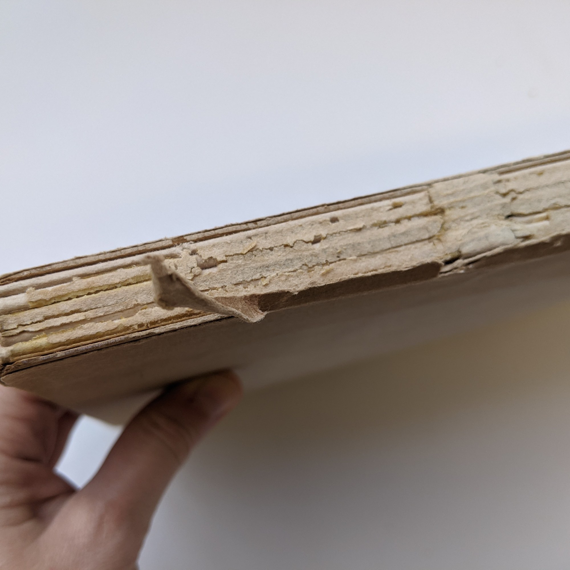 The spine of the book is visible where the dust jacket is missing areas. You can see the original spine lining paper and adhesives are cracking.