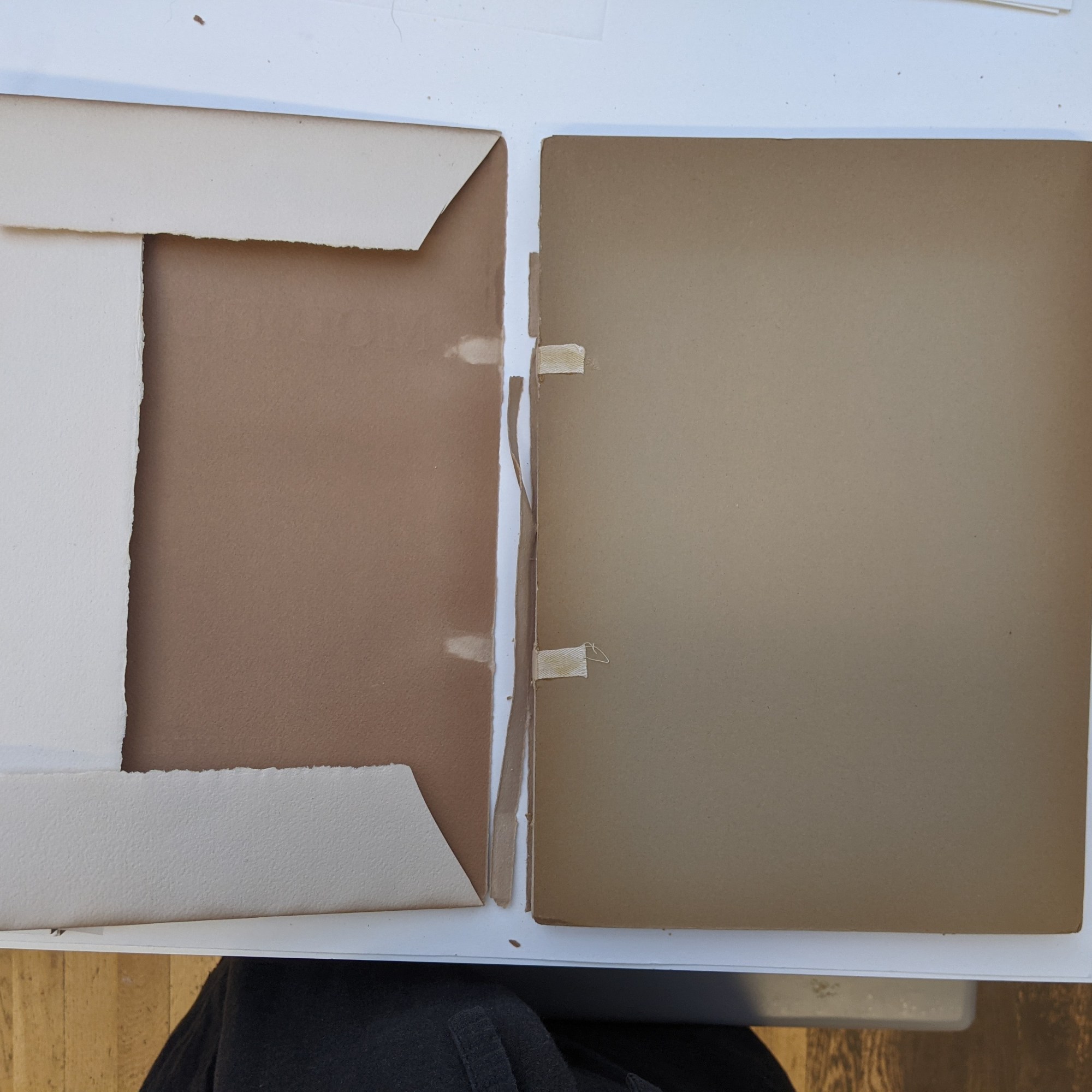 Image shows a book showing the front board and inside of the front dust jacket cover. The board is very brown and discoloured passing the discolouration over to the dust jacket