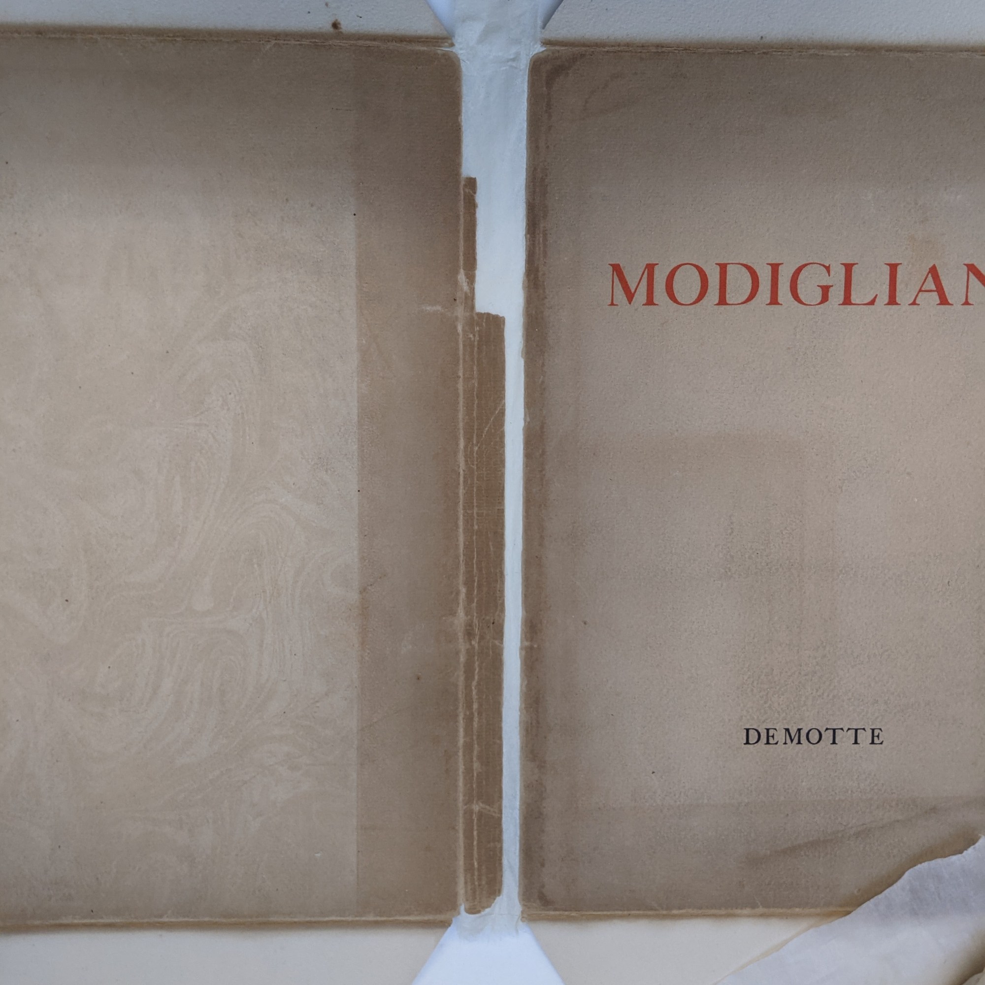 The dust jacket lies opened flat face up. A layer of thin Japanese paper has been adhered from the inside to reattach the two sides of the cover.